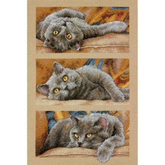 Dimensions Cross Stitch Kit: Max the Cat, 70-35301