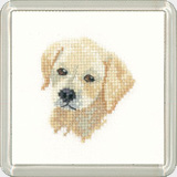 Heritage Crafts, Little Friends Cross-stitch Coaster Kit, Golden Labrador