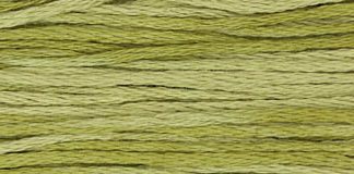 Weeks Dye Works, 6-Strand Floss, 1193 Guacamole, 5 yds