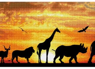 Diamond Dotz, African Sky, DD9.055