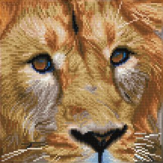 Diamond Dotz: Serengeti Magic (Lion), DD5.076