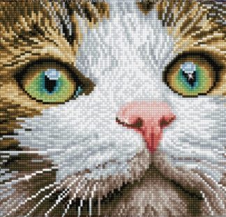 Diamond Dotz: Green Eyed Beauty, DD6.029