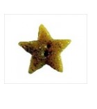 Stoney Creek, Buttons, Glitter Star, Gold, Small-Medium, 1 pc, SB062GDSM
