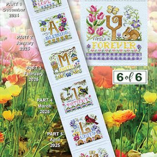 Stoney Creek, Cross Stitch Pattern, PM3406, Family: "Y" Family is Forever (6 of 6)