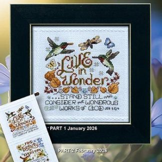 Stoney Creek, Cross Stitch Pattern, Thankful Heart Banner, PM3701, Live in Wonder (1 of 3)
